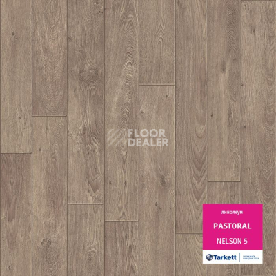 Линолеум Tarkett Pastoral NELSON 5 фото 1 | FLOORDEALER